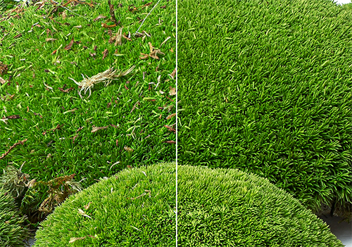 Przygotowanie produktów do sesji packshotowej: Jak światło i detale wpływają na Twoją sprzedaż?