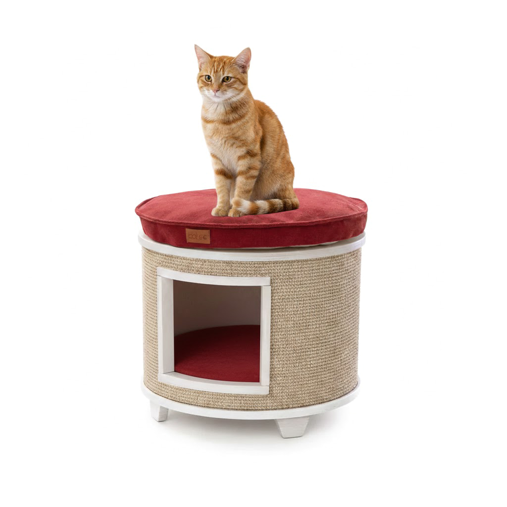 Okrągłe legowisko dla kota – rudy kot na drapaku, poduszka czerwona, packshot na białym tle
